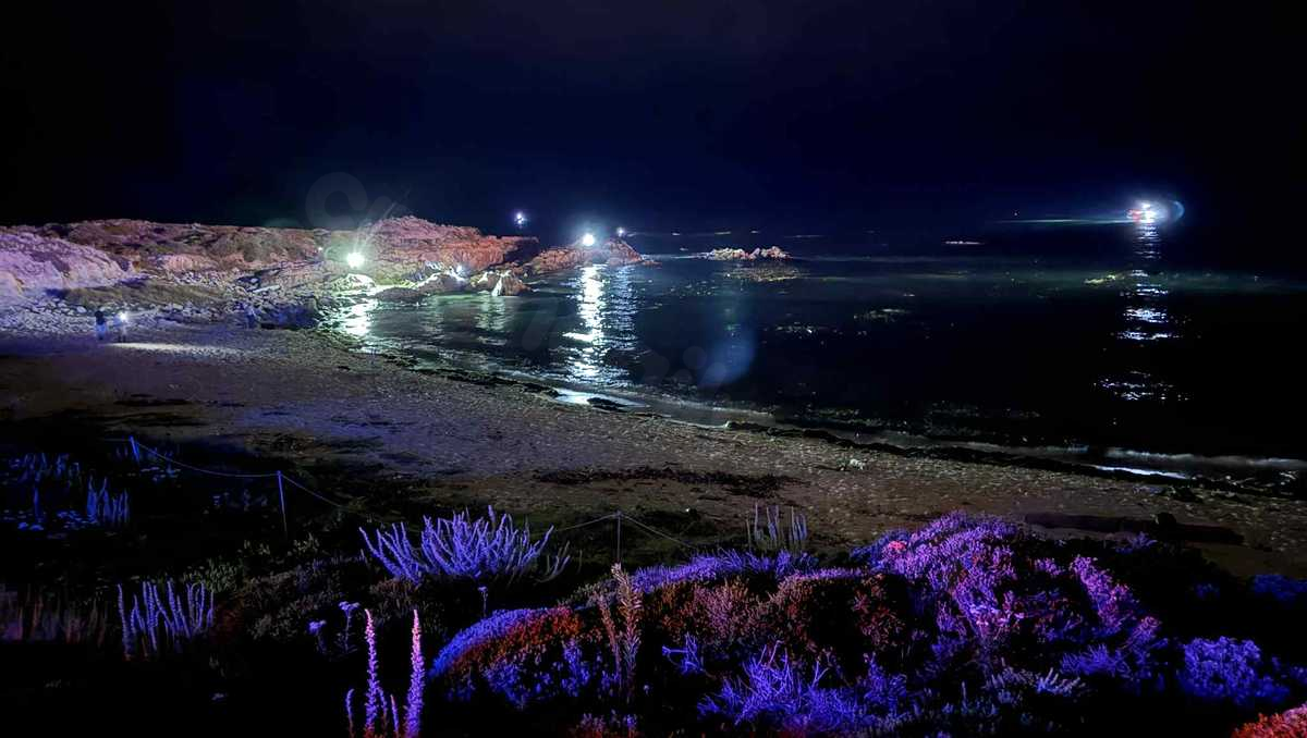 Search for 3 Plane Passengers Missing in Pacific Grove Crash