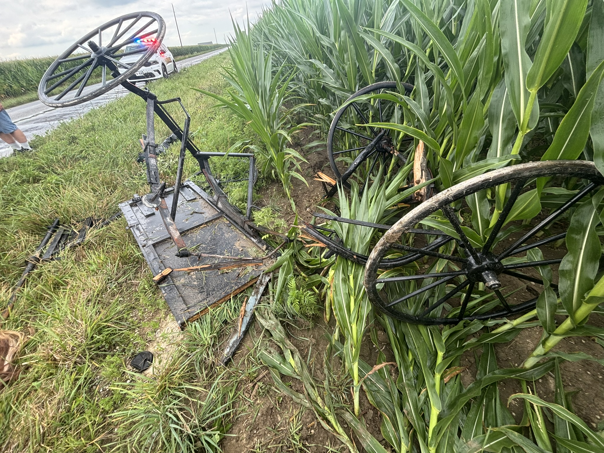 Vehicle collides with horse-drawn buggy in Adams County