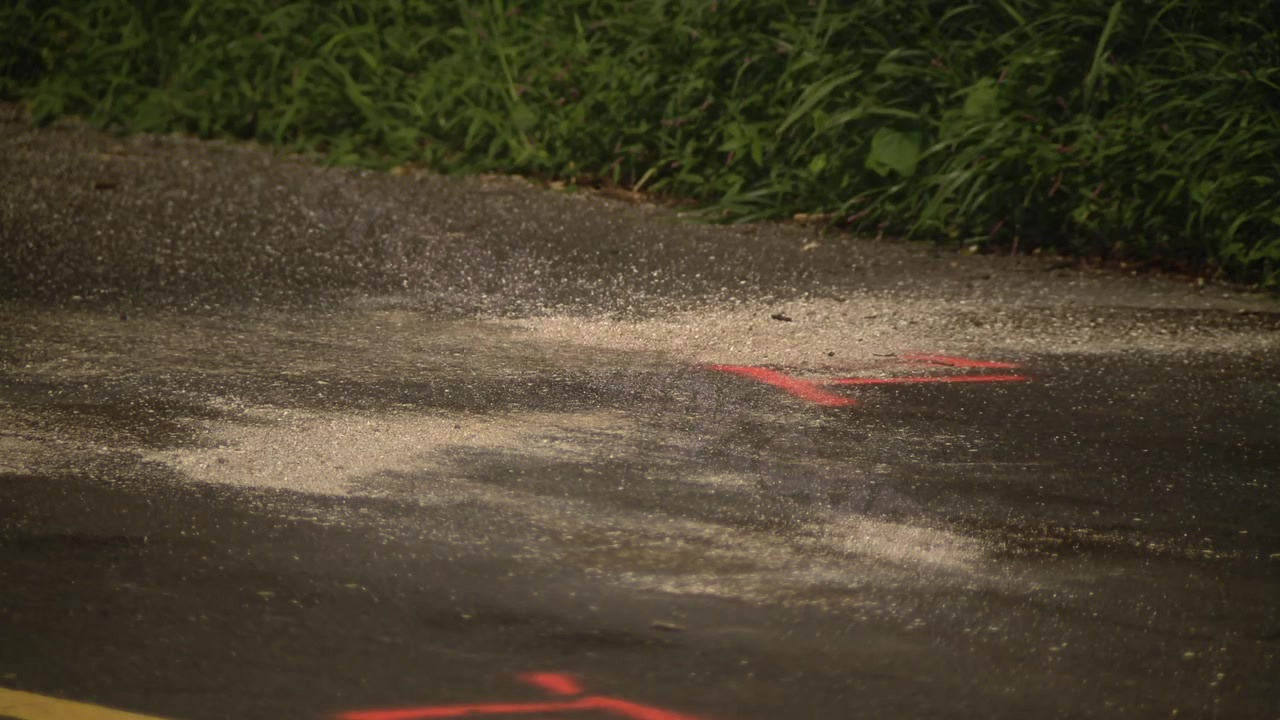 Fatal accident as car hits tree in Bucks County: authorities