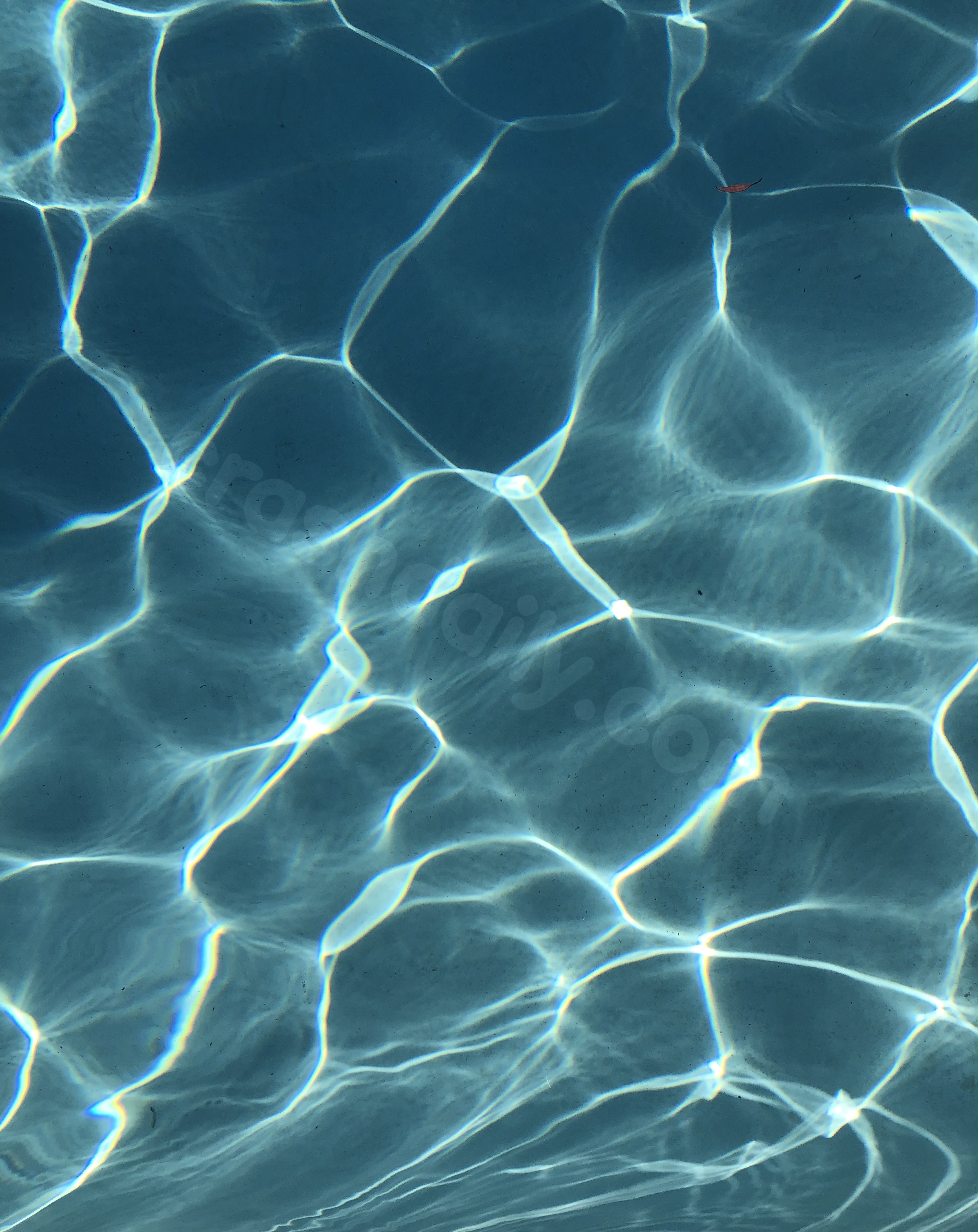 Tragic incident: Toddler drowns in pool in Monroe County