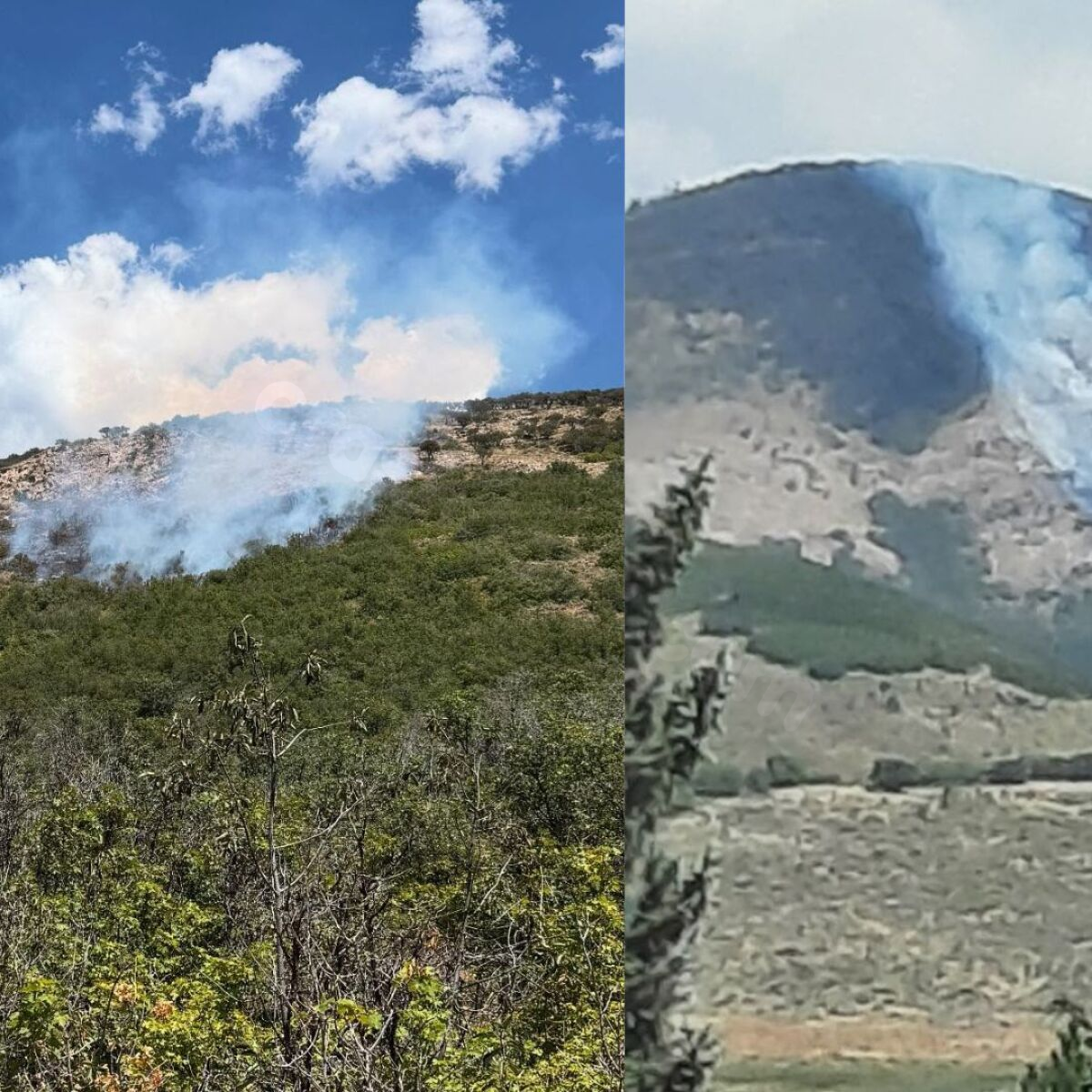 Fatal glider crash leads to fire in Morgan County