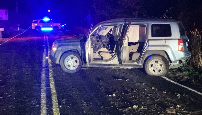 Teen killed as vehicle crashes into tree in Clark County