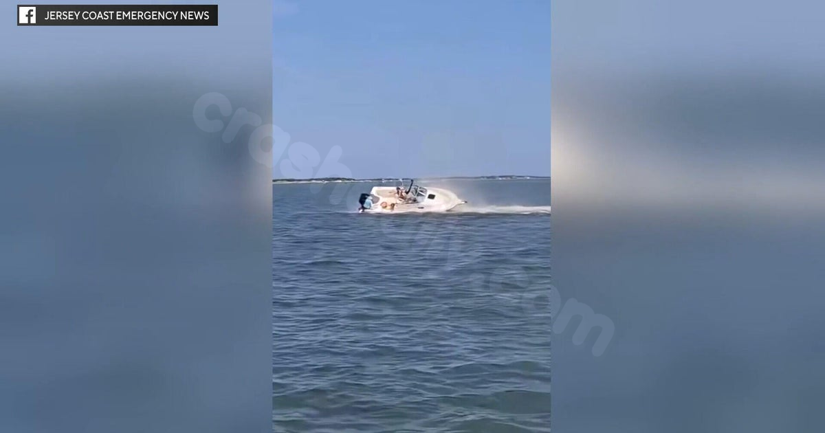 Whale collision in Barnegat Bay causes passenger to be ejected from boat, officials report