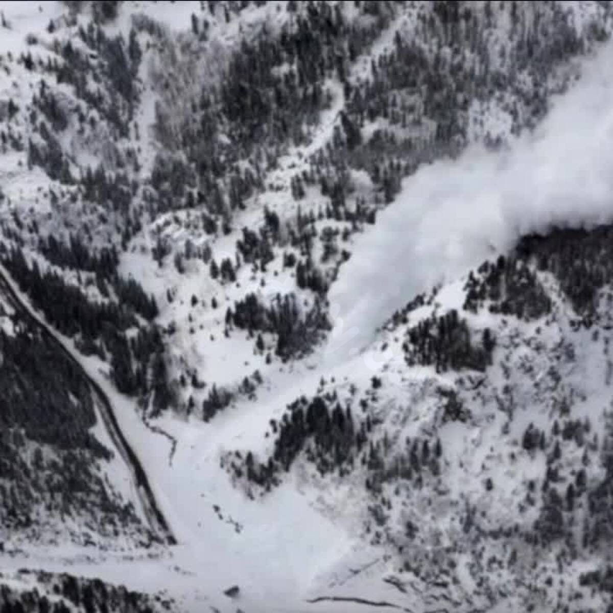 2 adults die, 1 minor saved in car crash off Million Dollar Highway