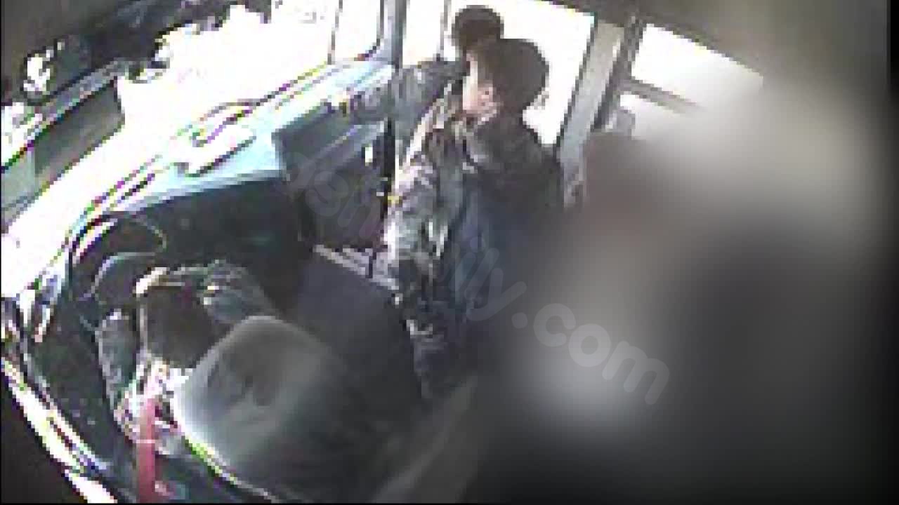 Deadly school bus crash in Sussex; no legal actions taken