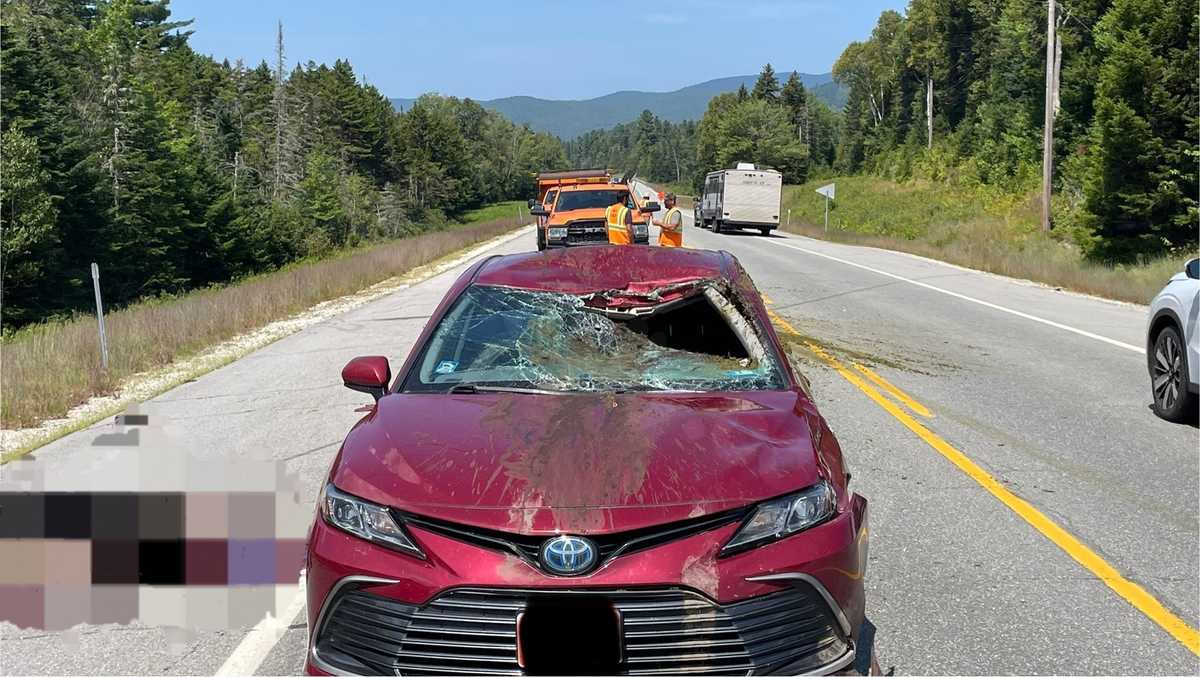 Fatal collision involving moose on Route 302 in New Hampshire