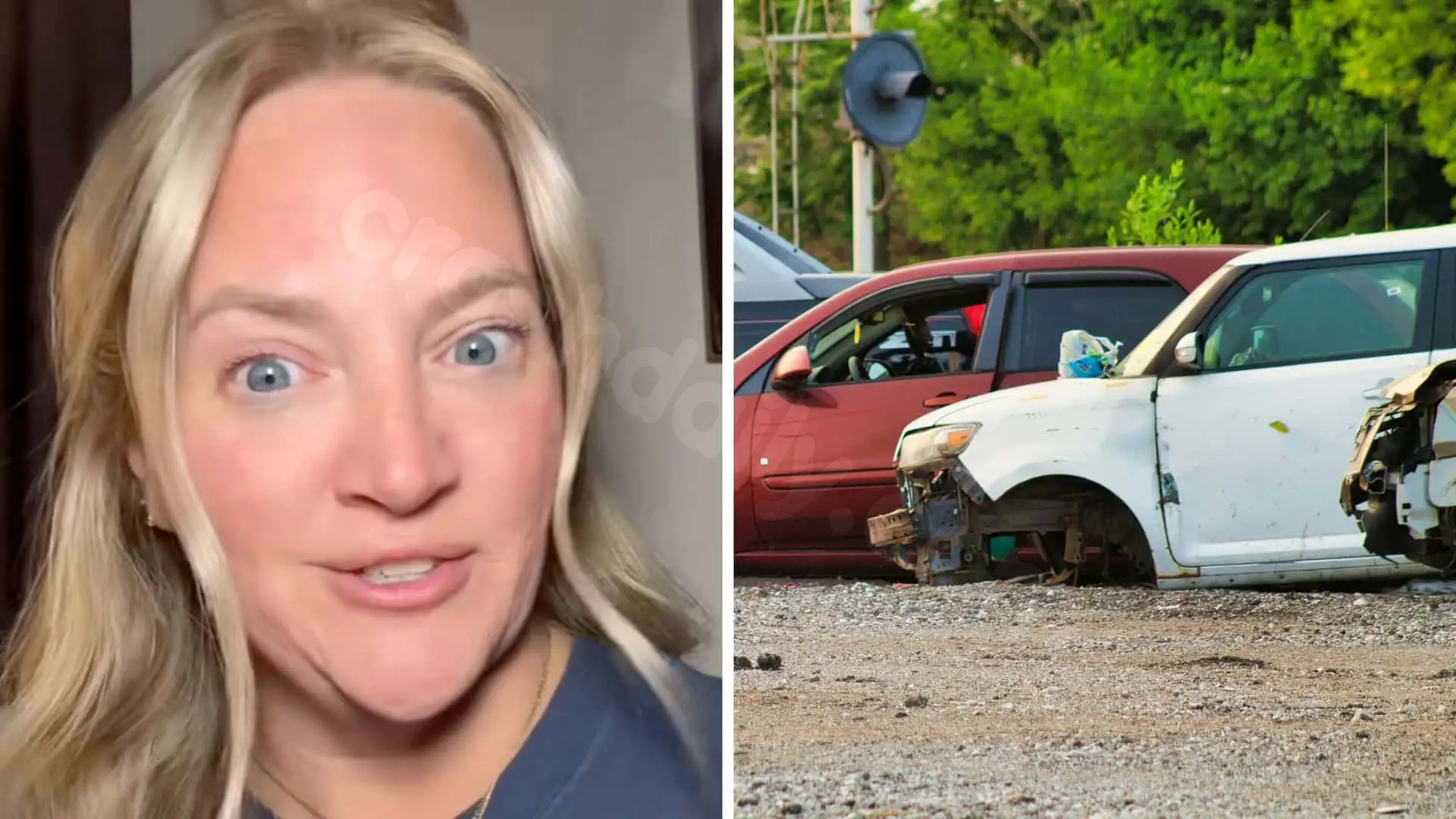 Tennessee Woman Discovers Luxury Car Was in 'Major Accident' after Purchase