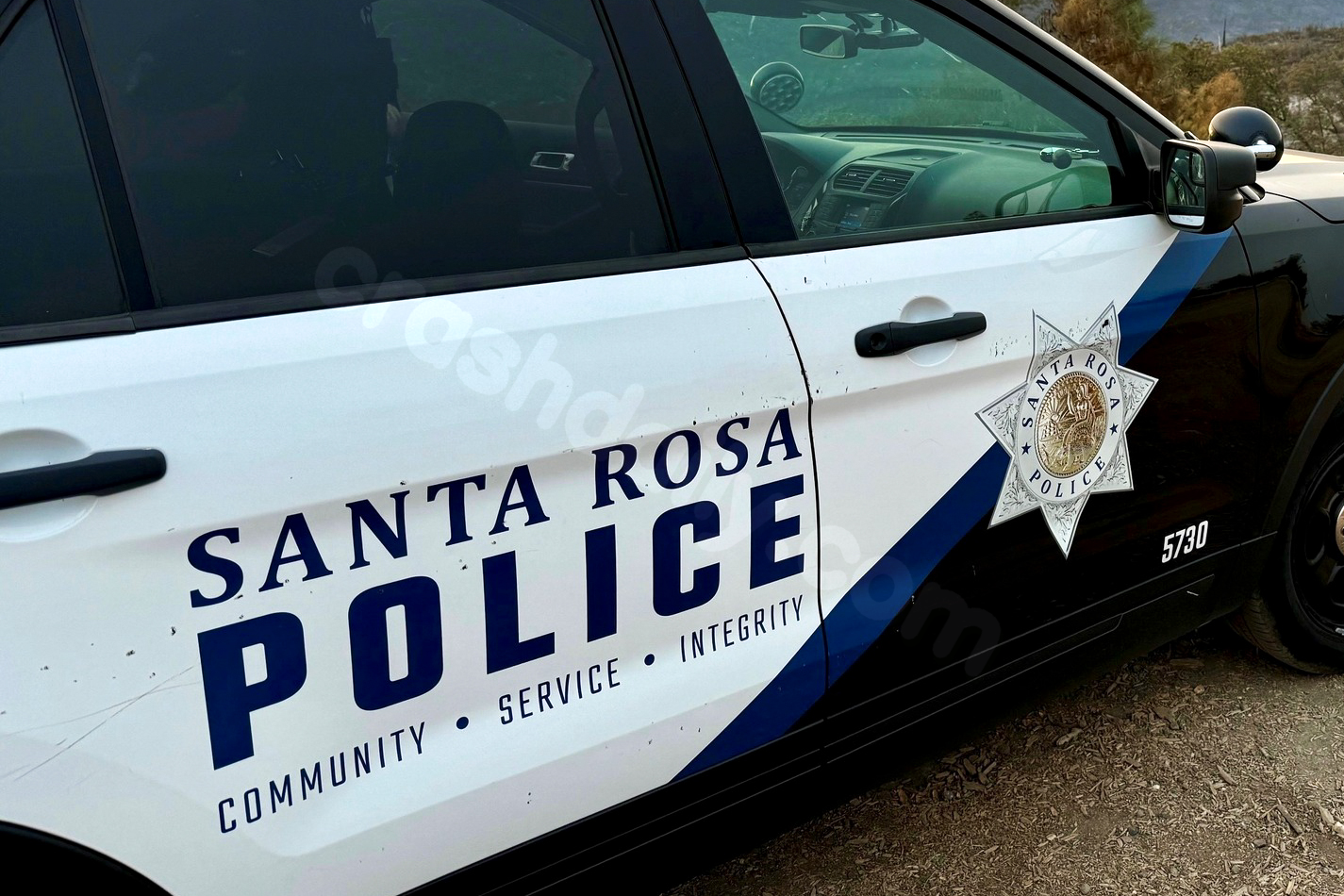 Woman severely hurt, dog hit in car crash: Santa Rosa PD