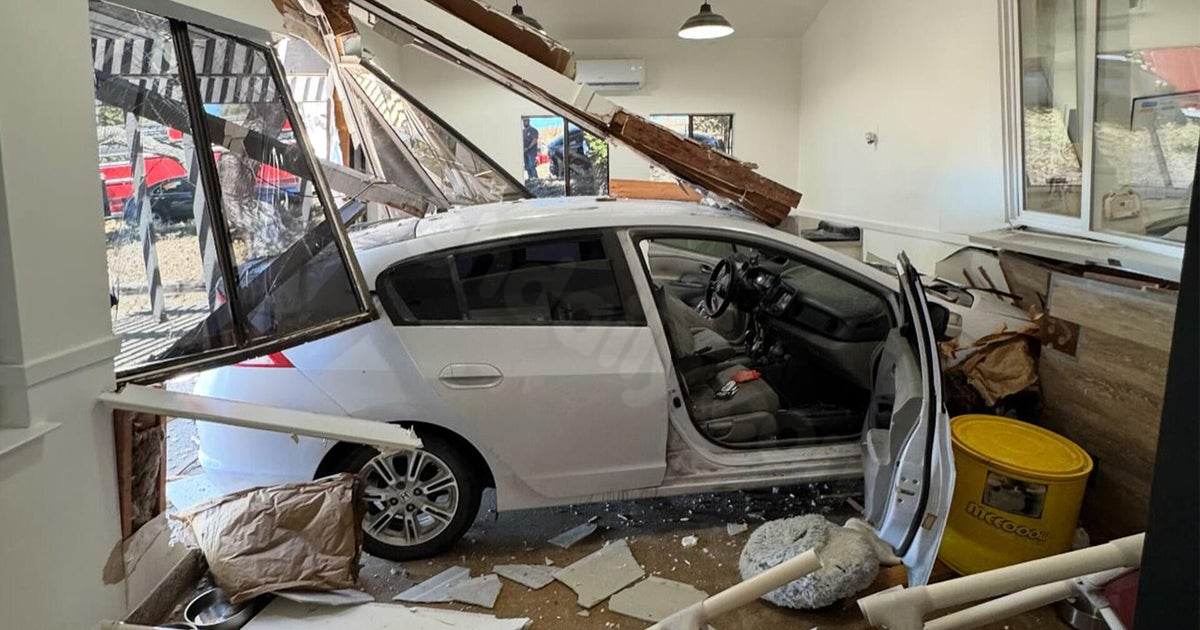 Car crash at Oakdale animal rescue leads to loss of life for one cat and escape of others