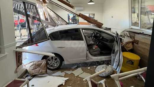 Cats missing as Oakdale animal shelter shuts due to car crash