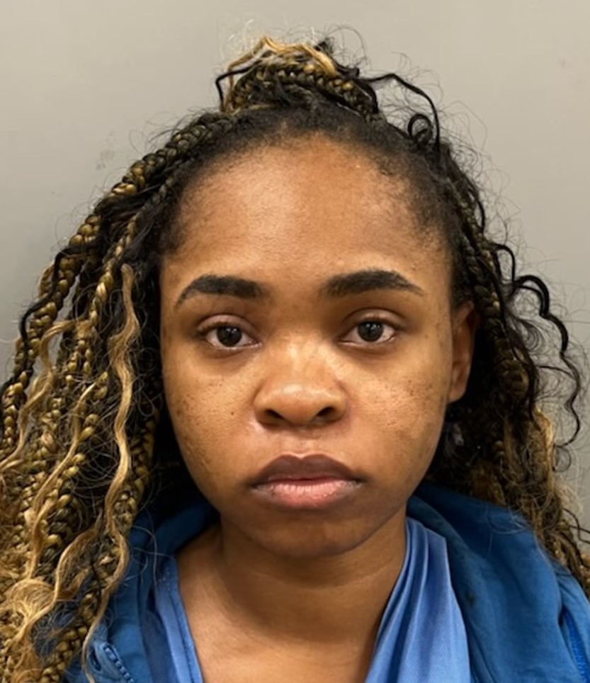 Chicago female accused of driving under influence in fatal Dan Ryan collision