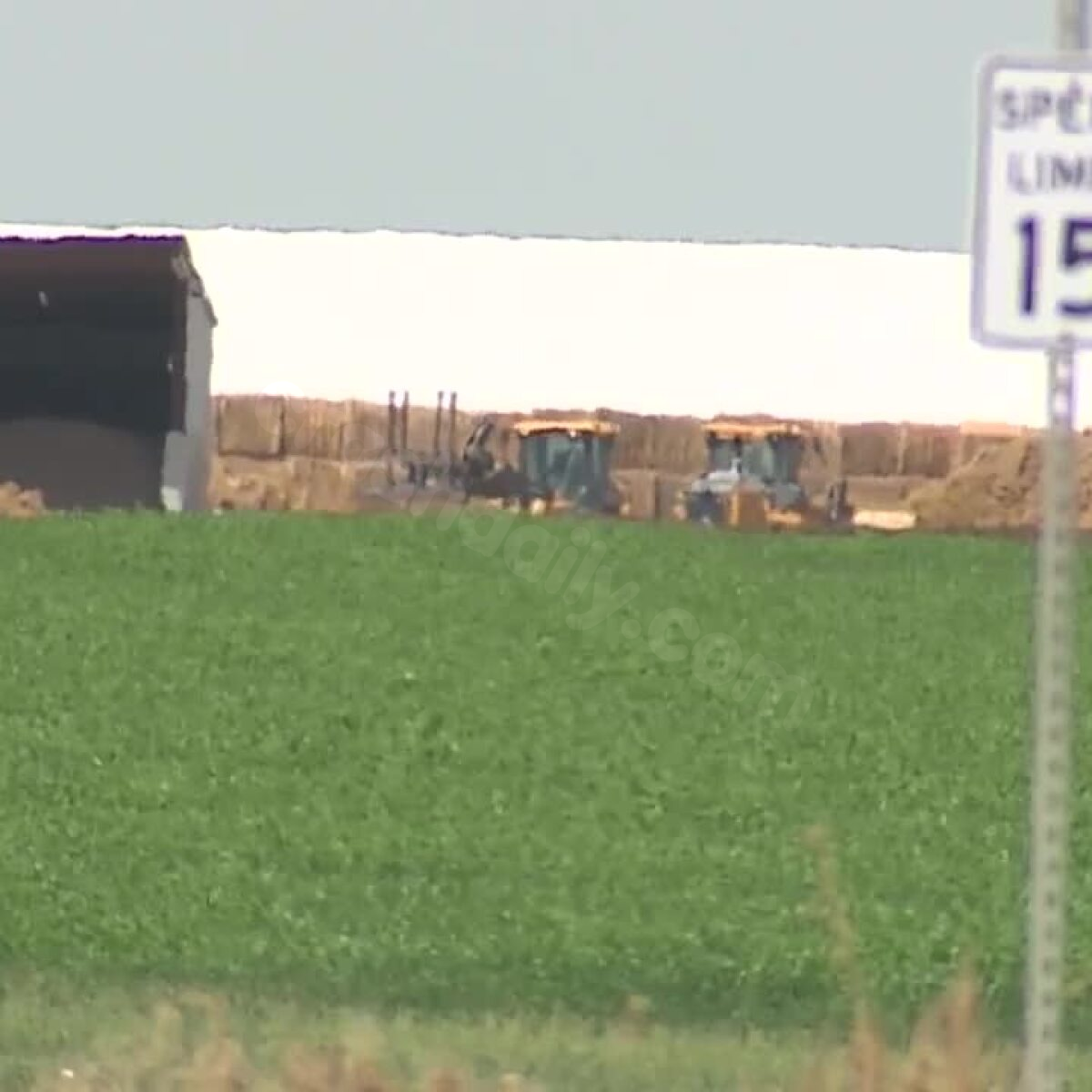 Fatal accident at Colorado dairy claims 6 lives, including high school student