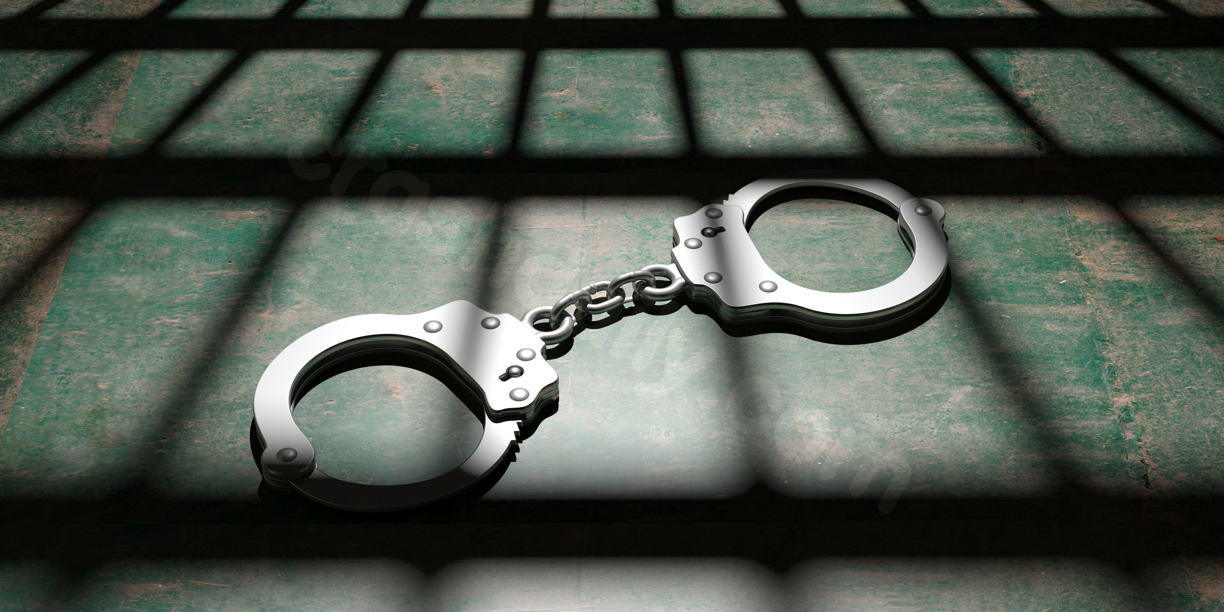 June hit-and-run crash suspect in bicyclist fatality held in custody
