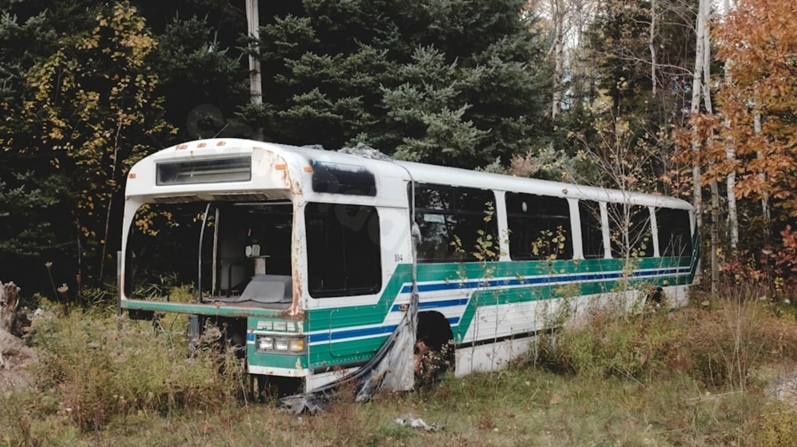 Tour bus crash shuts down section of I-90 in Pembroke, injuring dozens - Hindustan Times