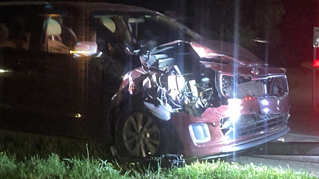 Cow killed in Trumbull County car collision: OSHP