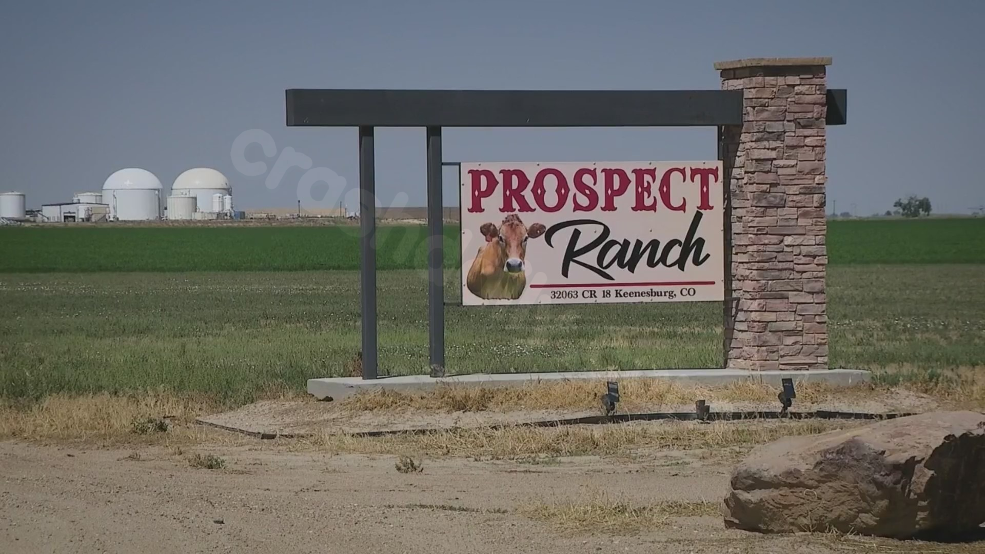 Employment of 4 victims confirmed in Weld County dairy incident
