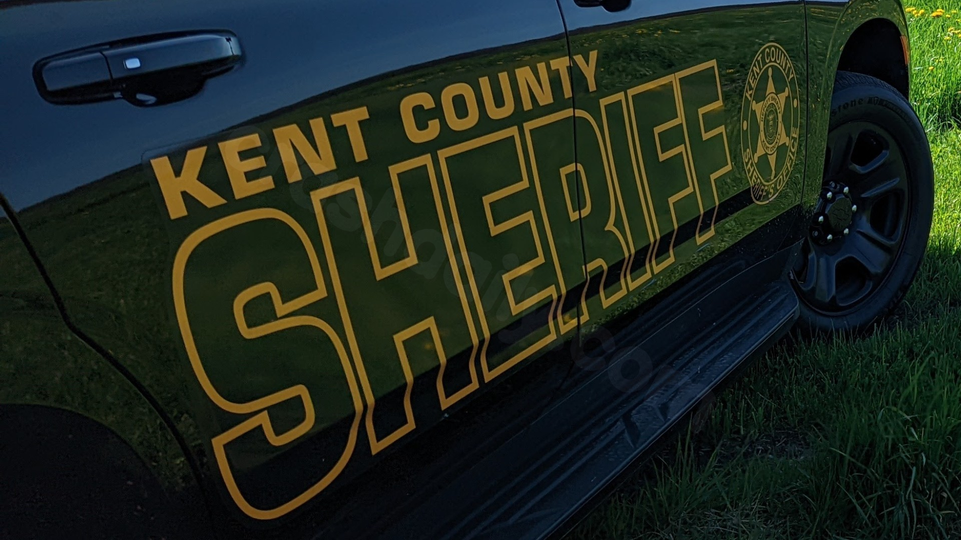 Fatal crash near Cedar Springs injures two deputies