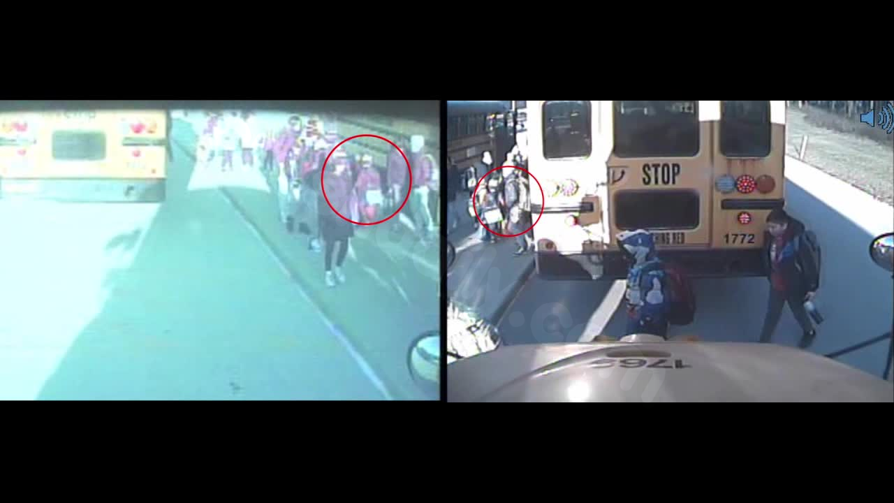Tragic school bus crash in Sussex; parents advocate for change with video