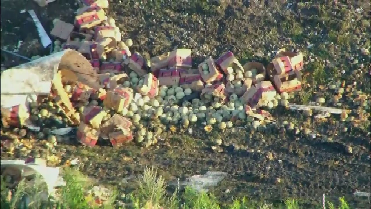 Illinois I-80 Semi Accident Causes 42K Pounds of Produce Spill, Authorities Report