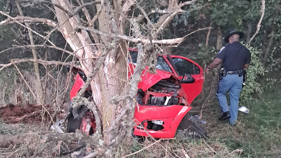 Vehicle collides with tree near I-65 in Northwest Indiana