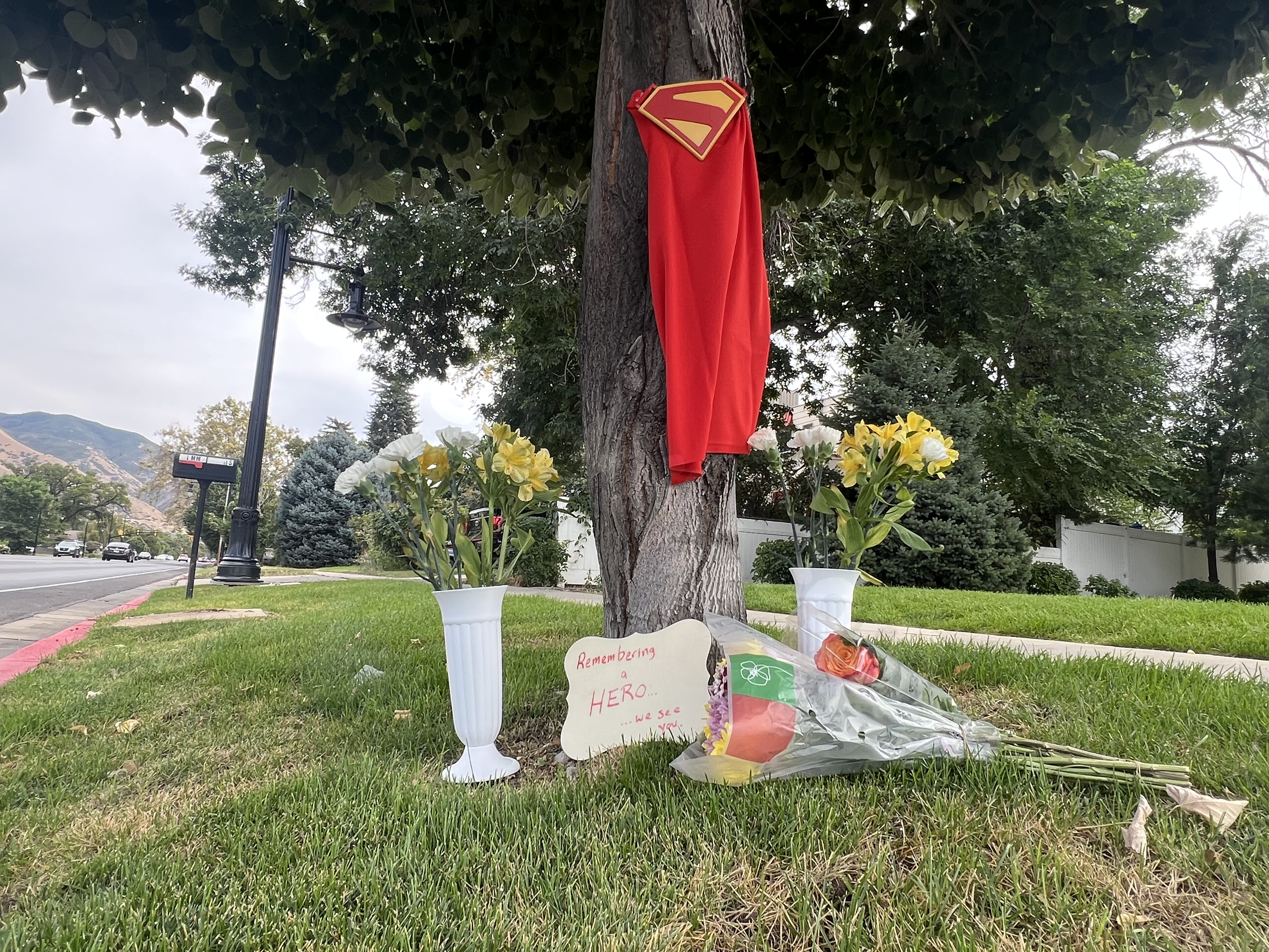 Witnesses recall aftermath of deadly Springville accident.