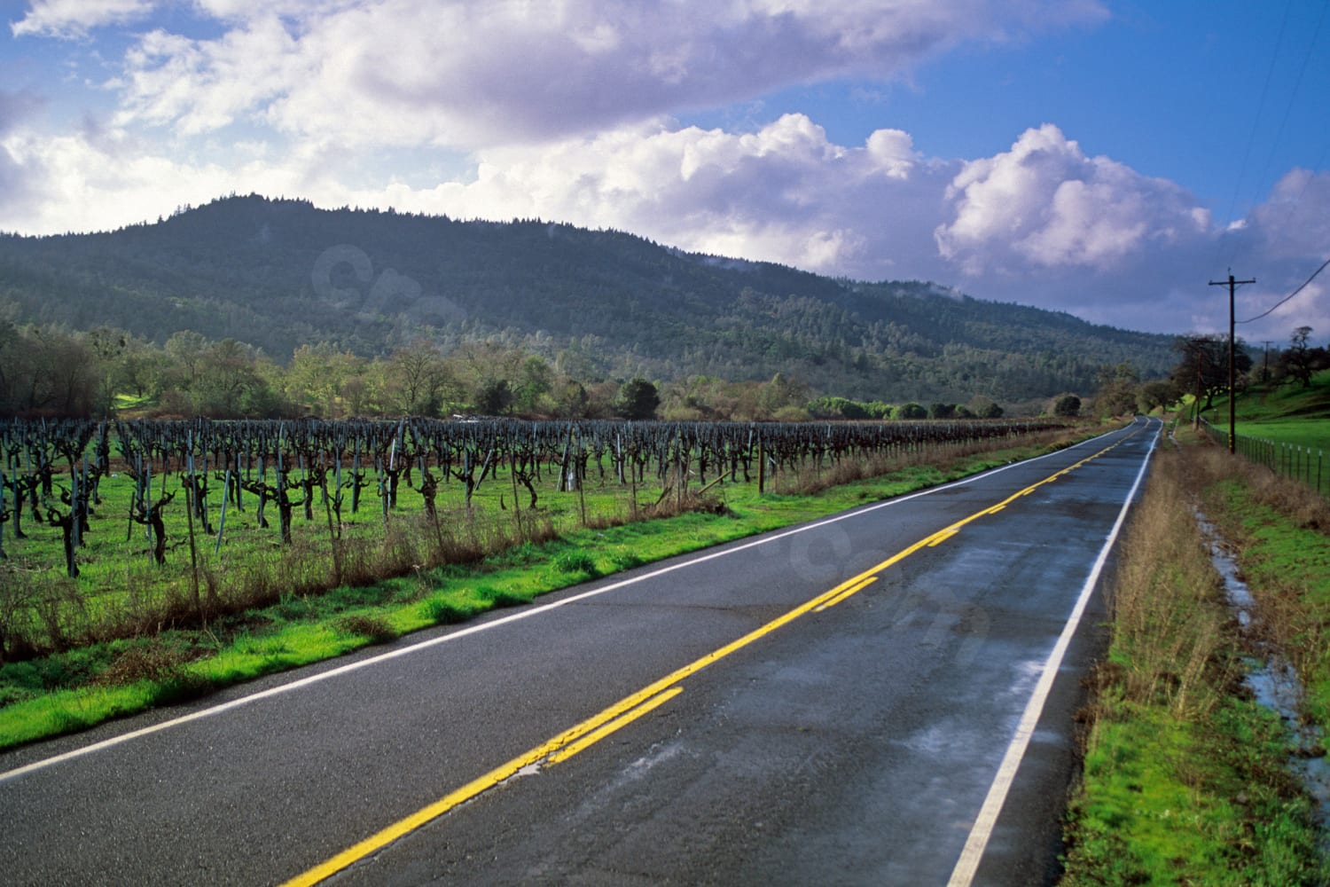 Fatal solo car crash in Napa County, California