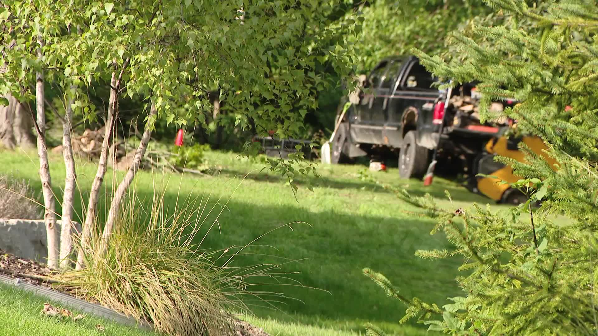 Fatal Industrial Incident: Man dies while trimming trees in Rockford