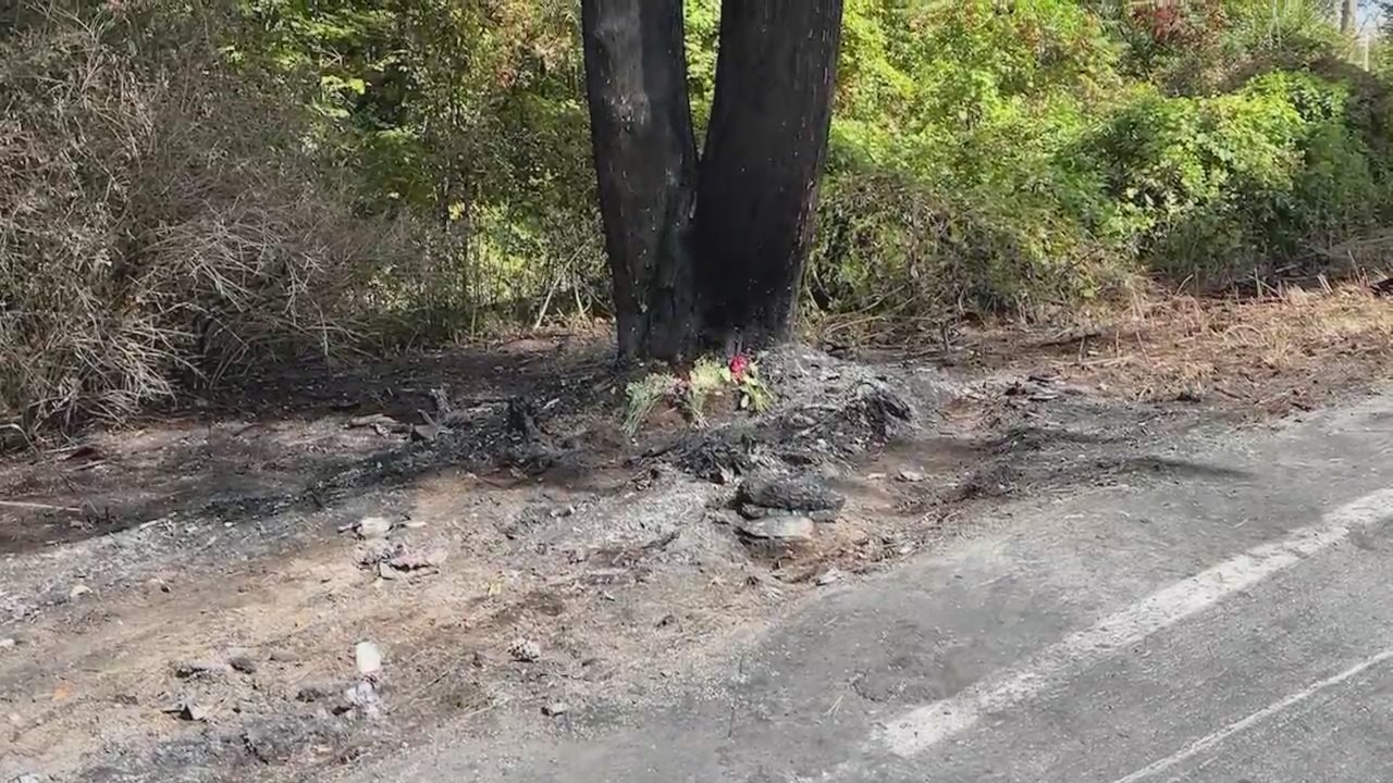 Neighbor's attempt to rescue victims in Schoharie car crash.