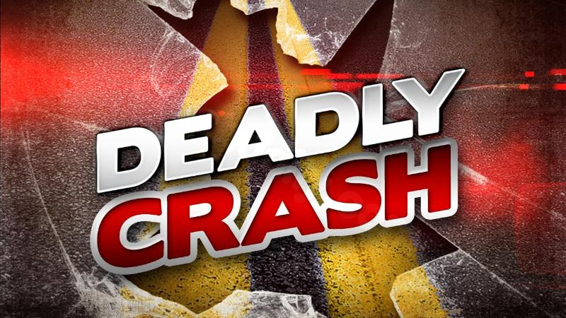 23-year-old man from Belvidere killed in solo vehicle collision on Shaw Road