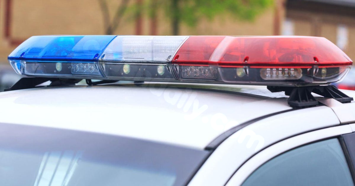 Fatal Accident: Elderly Woman Hit by Car in Victoria, MN