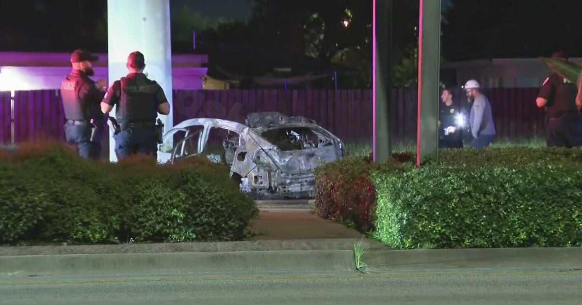 Fatal Hollywood Crash: Driver dies after hitting light pole, authorities report
