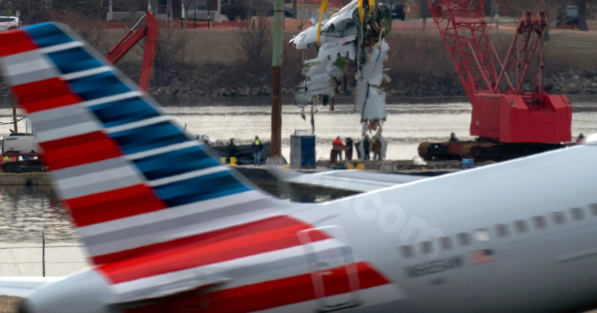 Family sues FAA, Army, and American Airlines after D.C. plane crash.