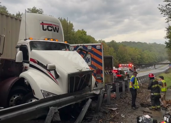 Two cows killed in collision on I-26 in Polk County.