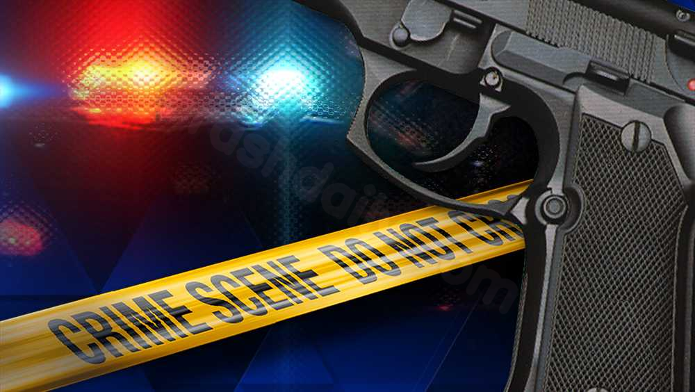 GBI investigates shooting of two men in Screven County.