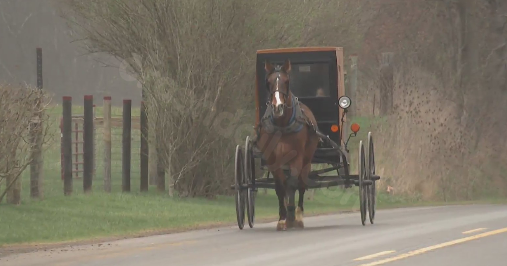 Two children ages 7 and 9 die when Pennsylvania driver hits horse-drawn carriage
