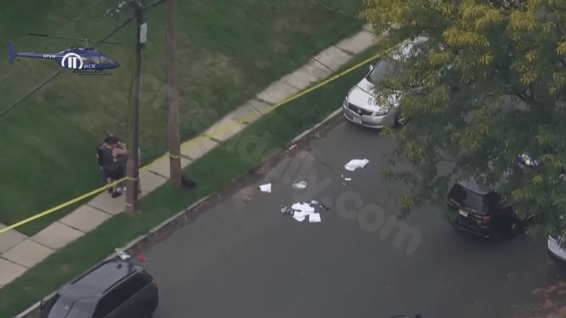 Teen, 17, charged in fatal New Jersey hit-and-run: officials
