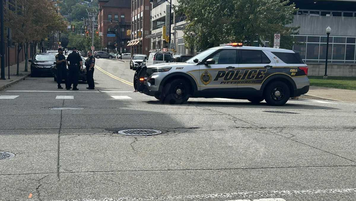 Elderly pedestrian struck while crossing Pittsburgh street passes away