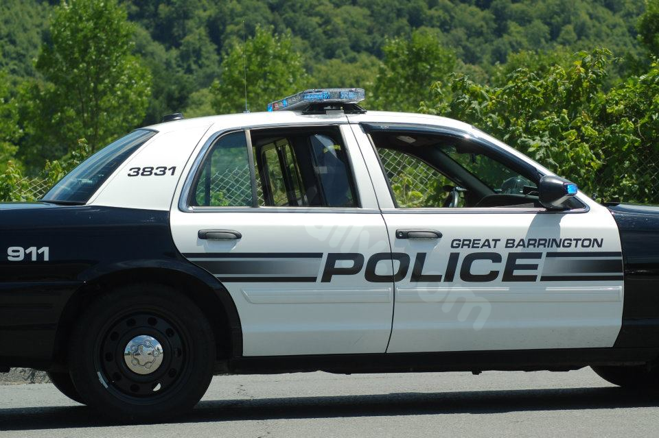 Fatal motorcycle collision with moose on Route 7 in Great Barrington