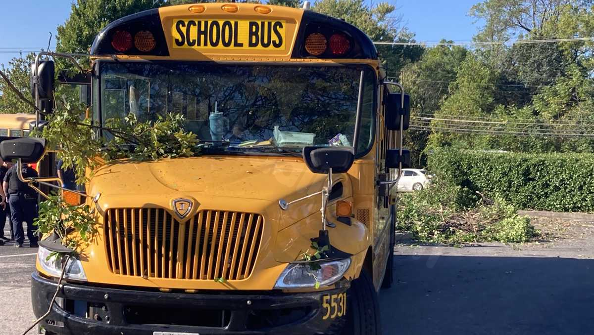 7 students sustain minor injuries in school bus collision