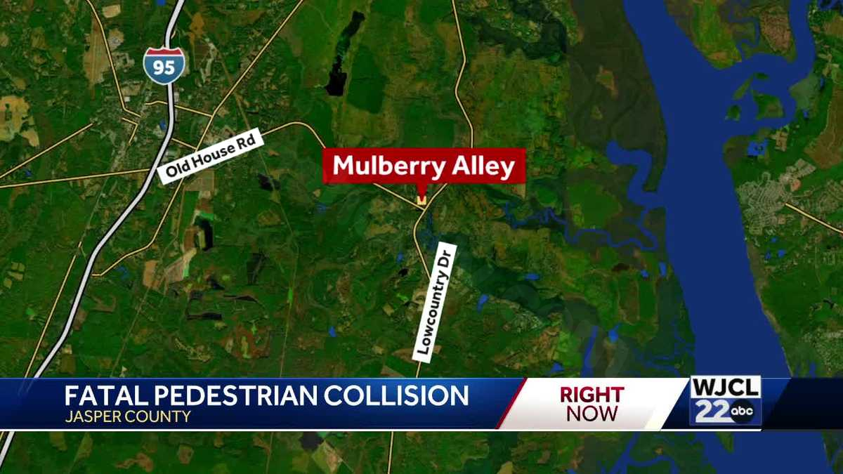 Deadly pedestrian accident in Jasper County