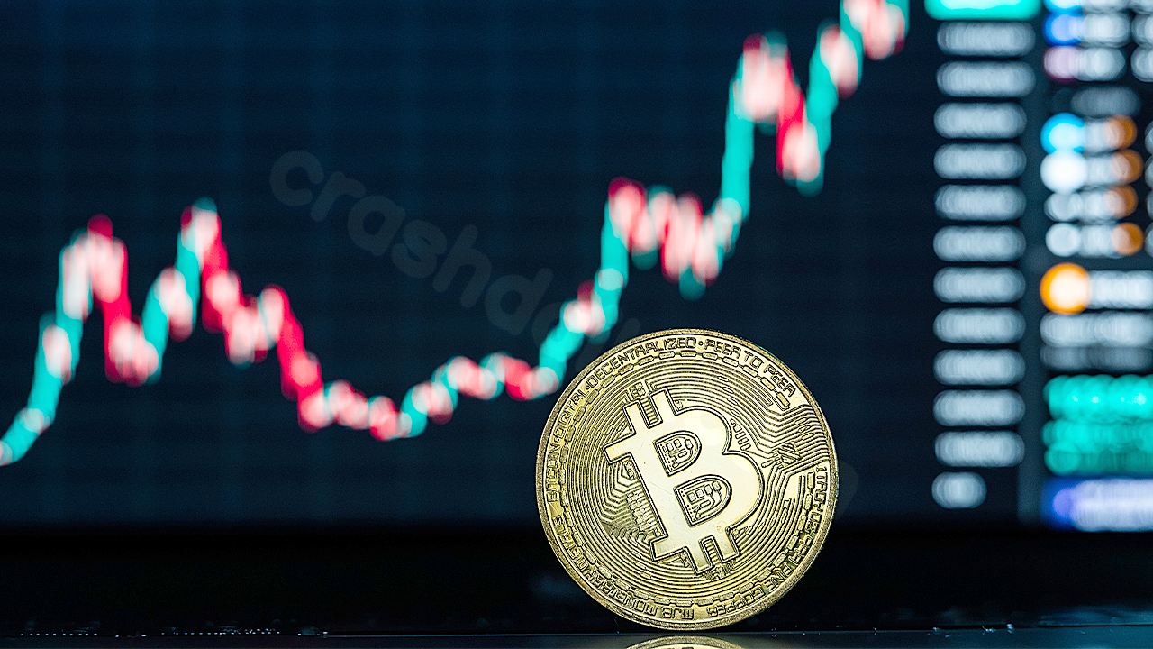 Crypto market crash causes massive losses, hints of recovery emerge