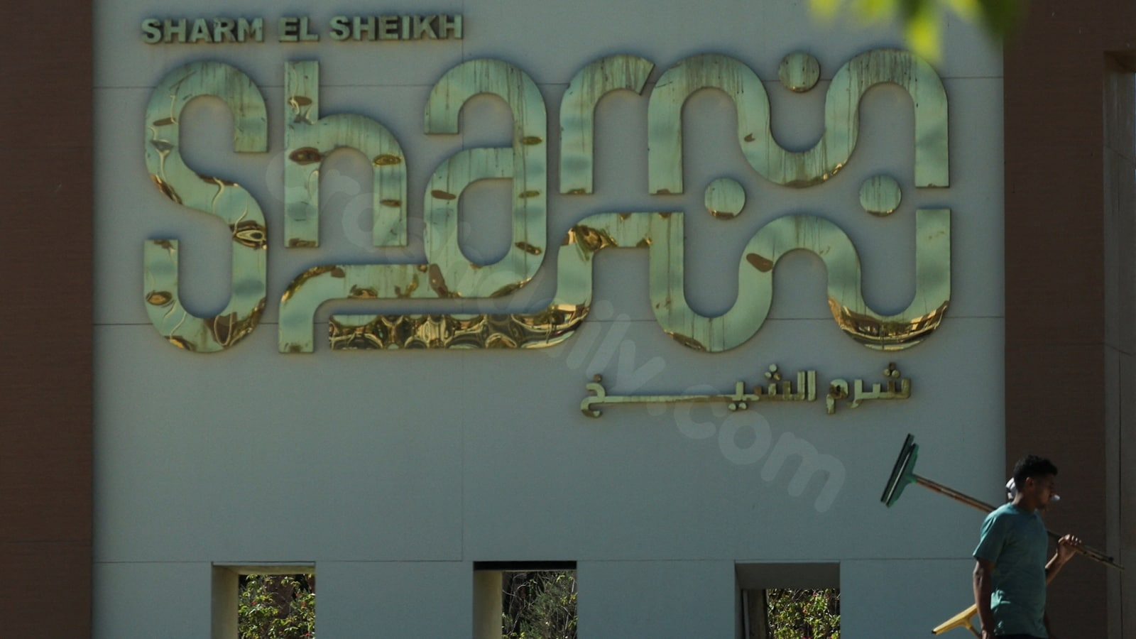 Qatari diplomats en route to Gaza peace talks in Egypt die in road accident
