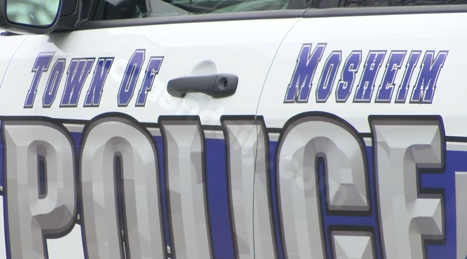 Police suspect speed was a contributing factor in deadly Mosheim collision
