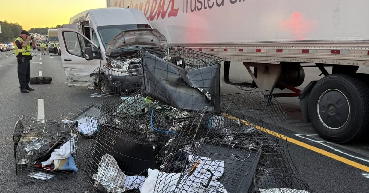 Seven dead in "domino effect" collision on I-85 in Georgia following semi-truck collides with van