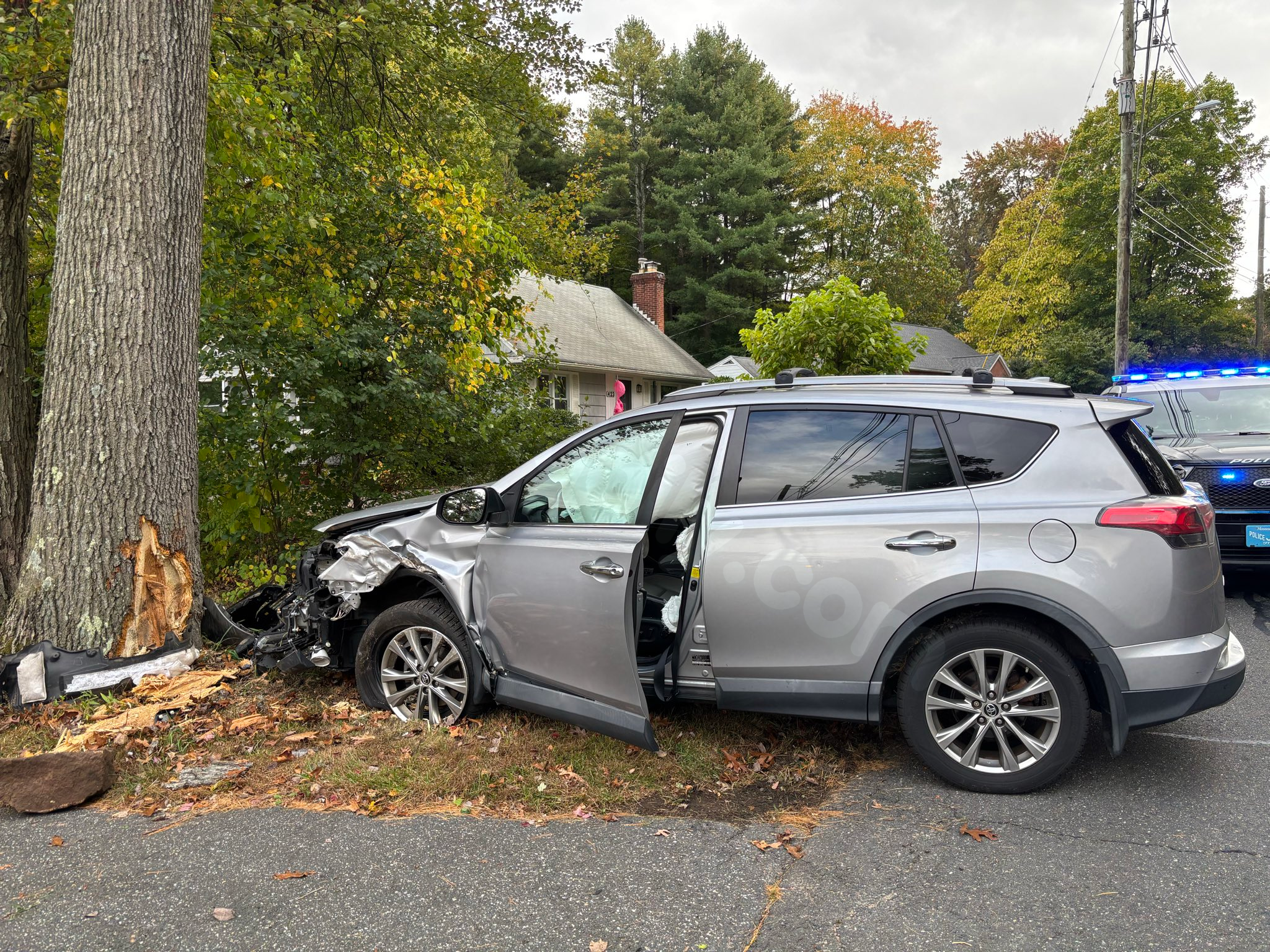 Vehicle collision with tree injures one on Dwight Road in Springfield
