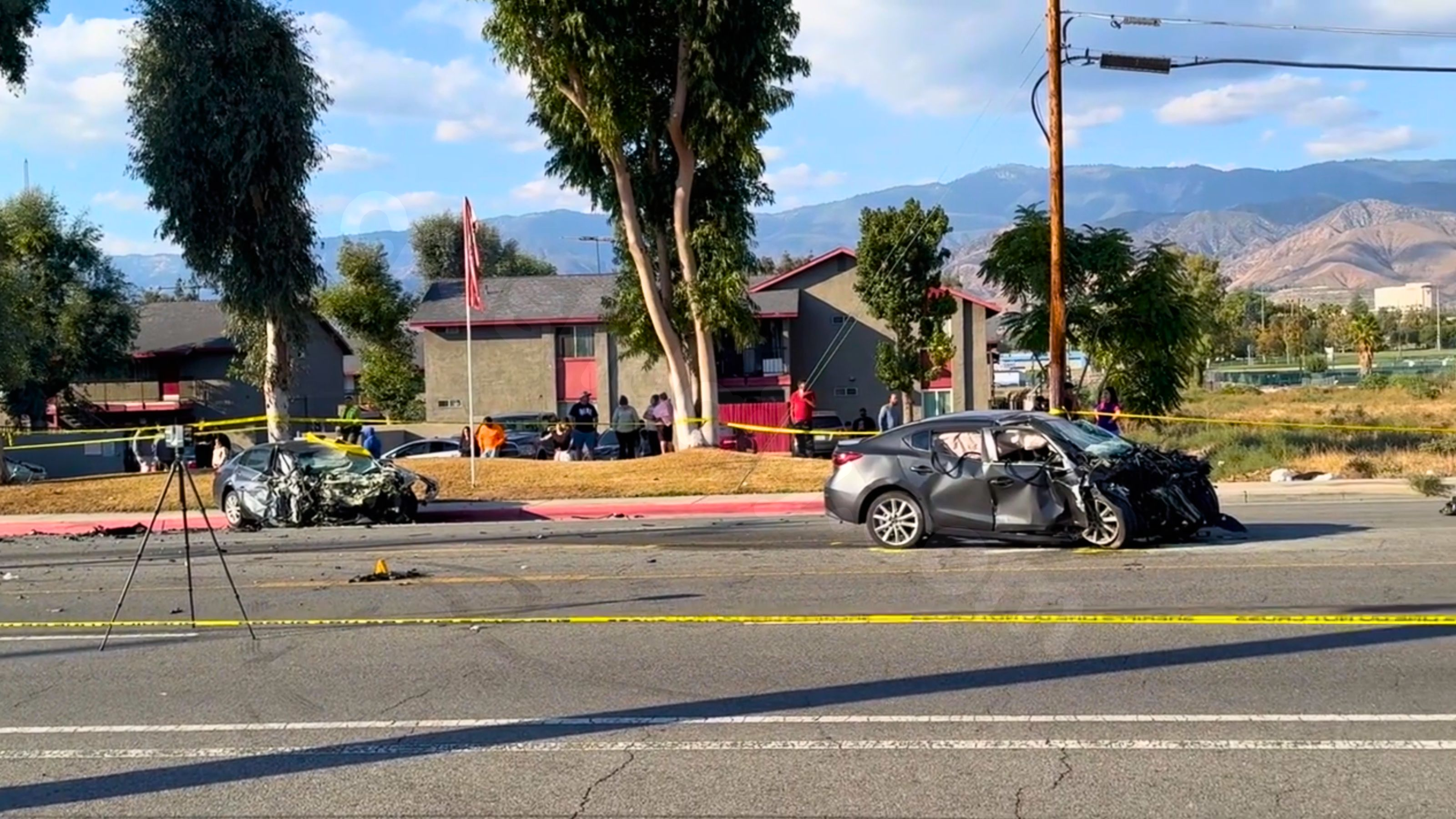 Fatal head-on collision in San Bernardino County claims 2 lives and 2 dogs