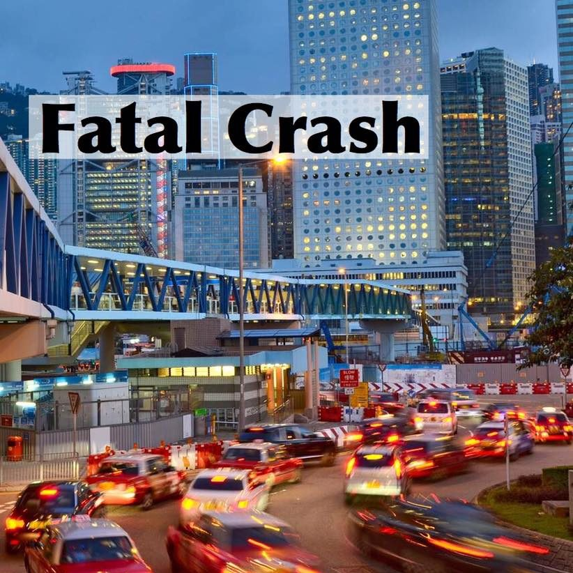 Tragic Collision on Highway 101 near Yolanda Ave