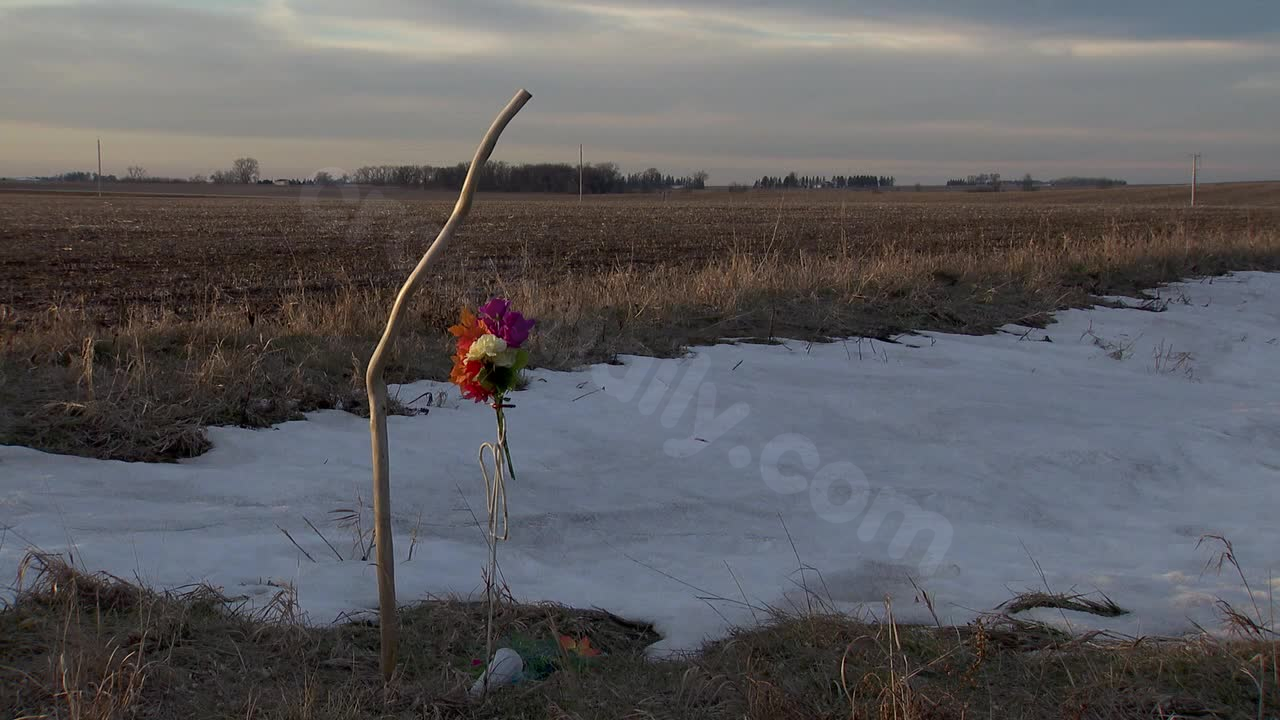 Woman sentenced to 4 years for deadly accident involving Amish buggy, 2 children killed