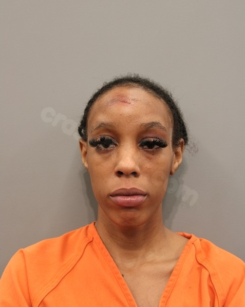 Woman faces charges for fatal Houston I-10 crash