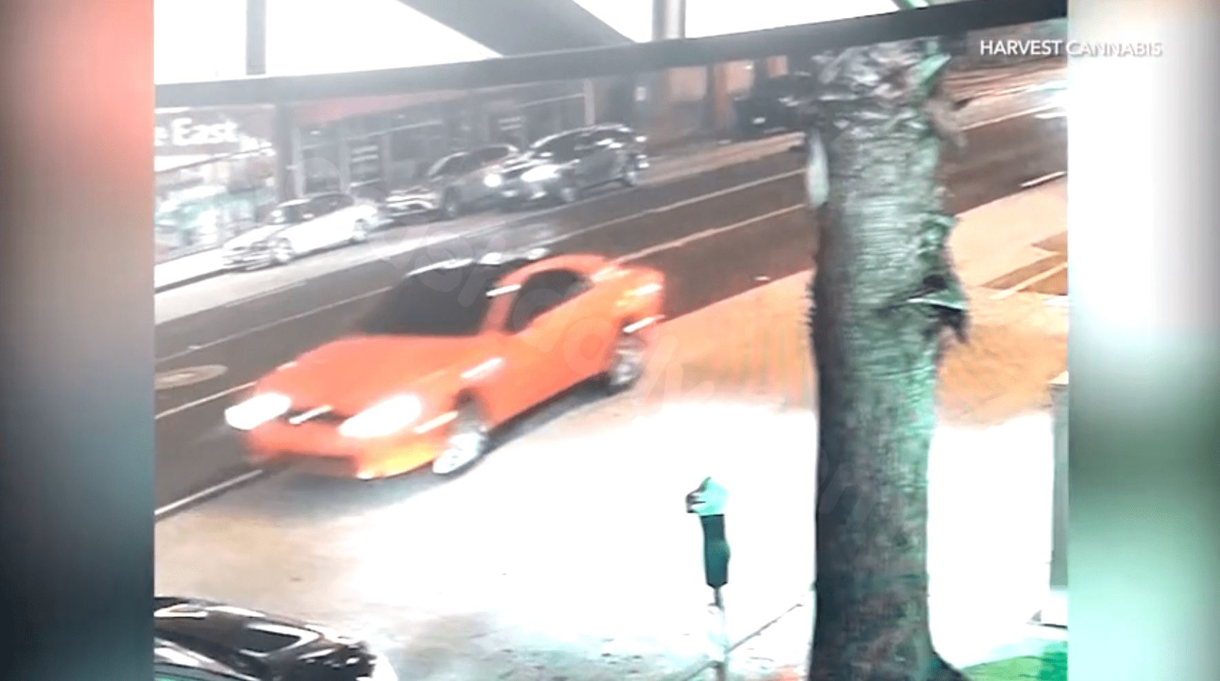 Manhunt ongoing for fatal Santa Monica hit-and-run perpetrator